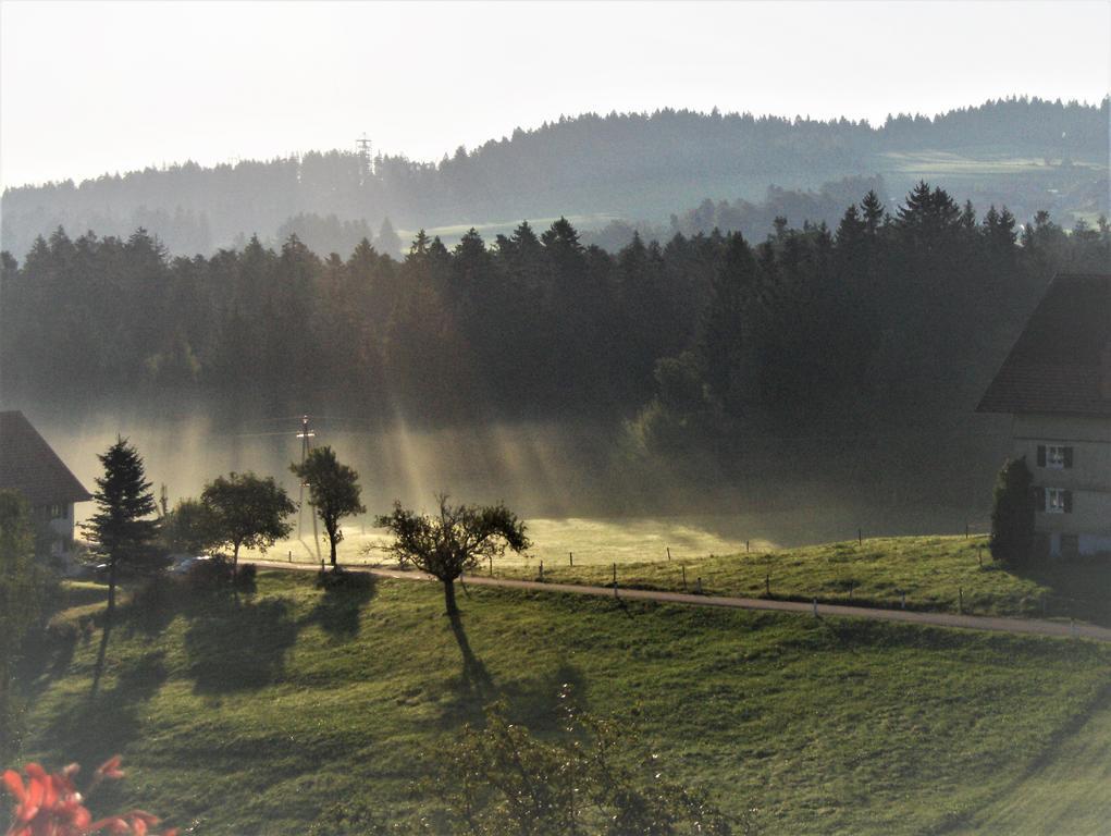 Bio-Bauernhof Heidegger Villa Moeggers ภายนอก รูปภาพ