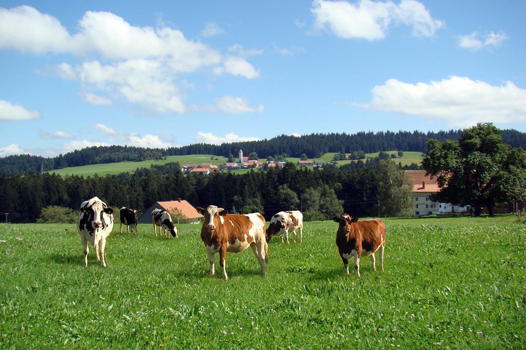 Bio-Bauernhof Heidegger Villa Moeggers ภายนอก รูปภาพ