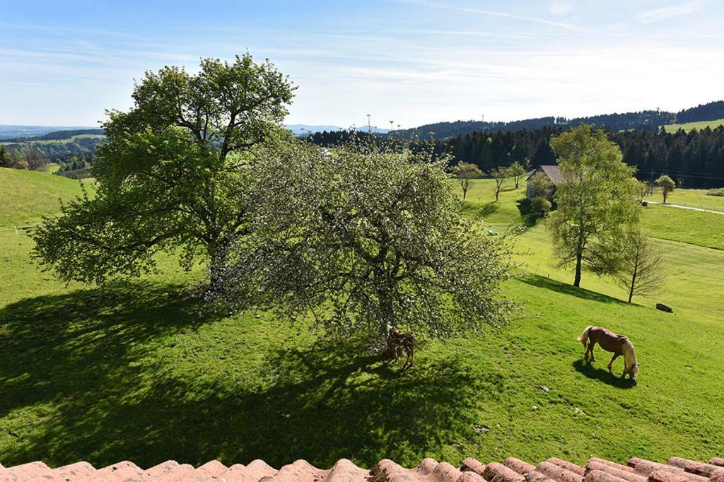 Bio-Bauernhof Heidegger Villa Moeggers ภายนอก รูปภาพ